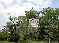 上野城