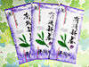有機栽培茶　新芽