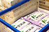 有機栽培　新茶